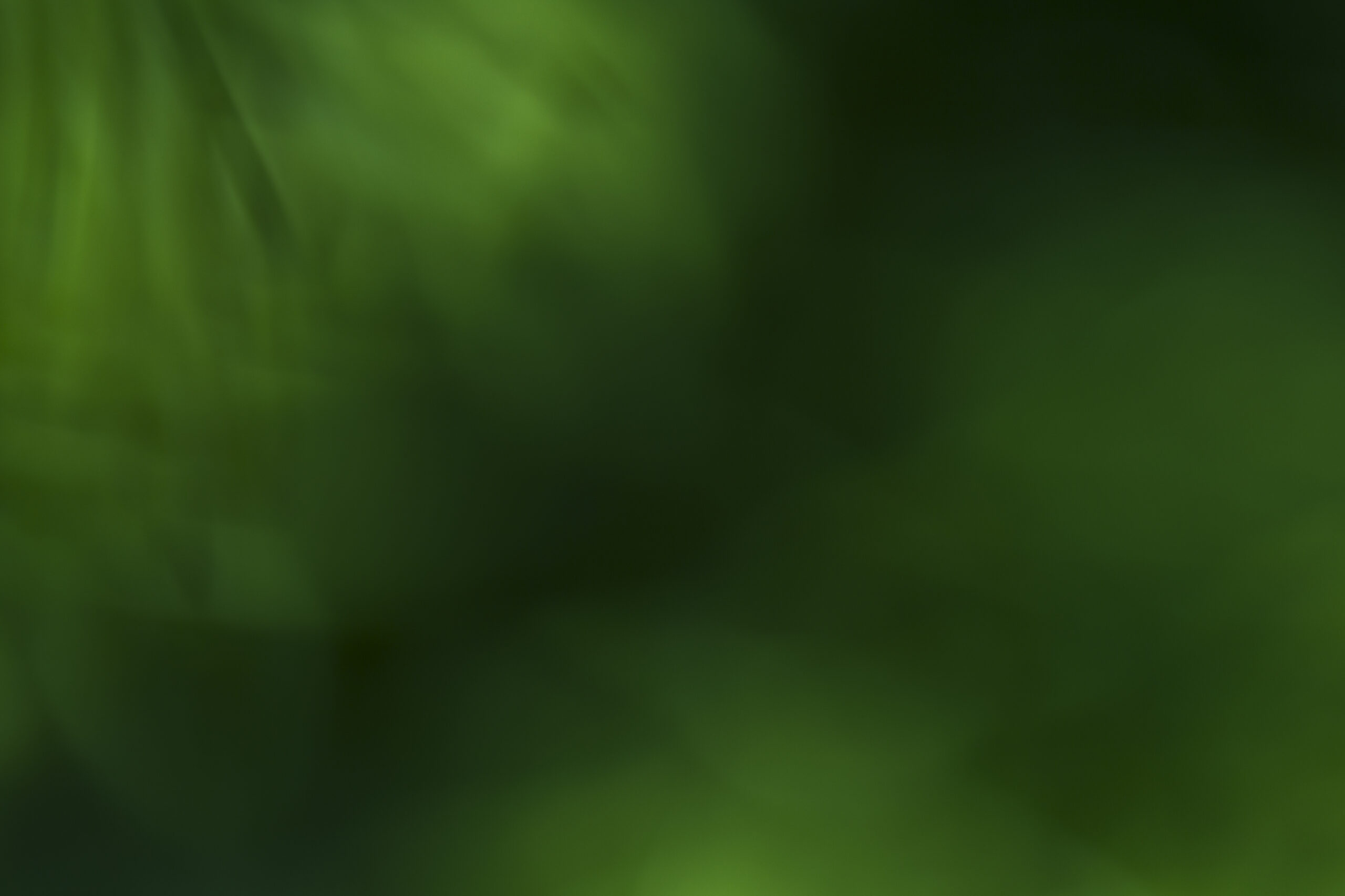 texture-close-up-blurred-plants Face Cap